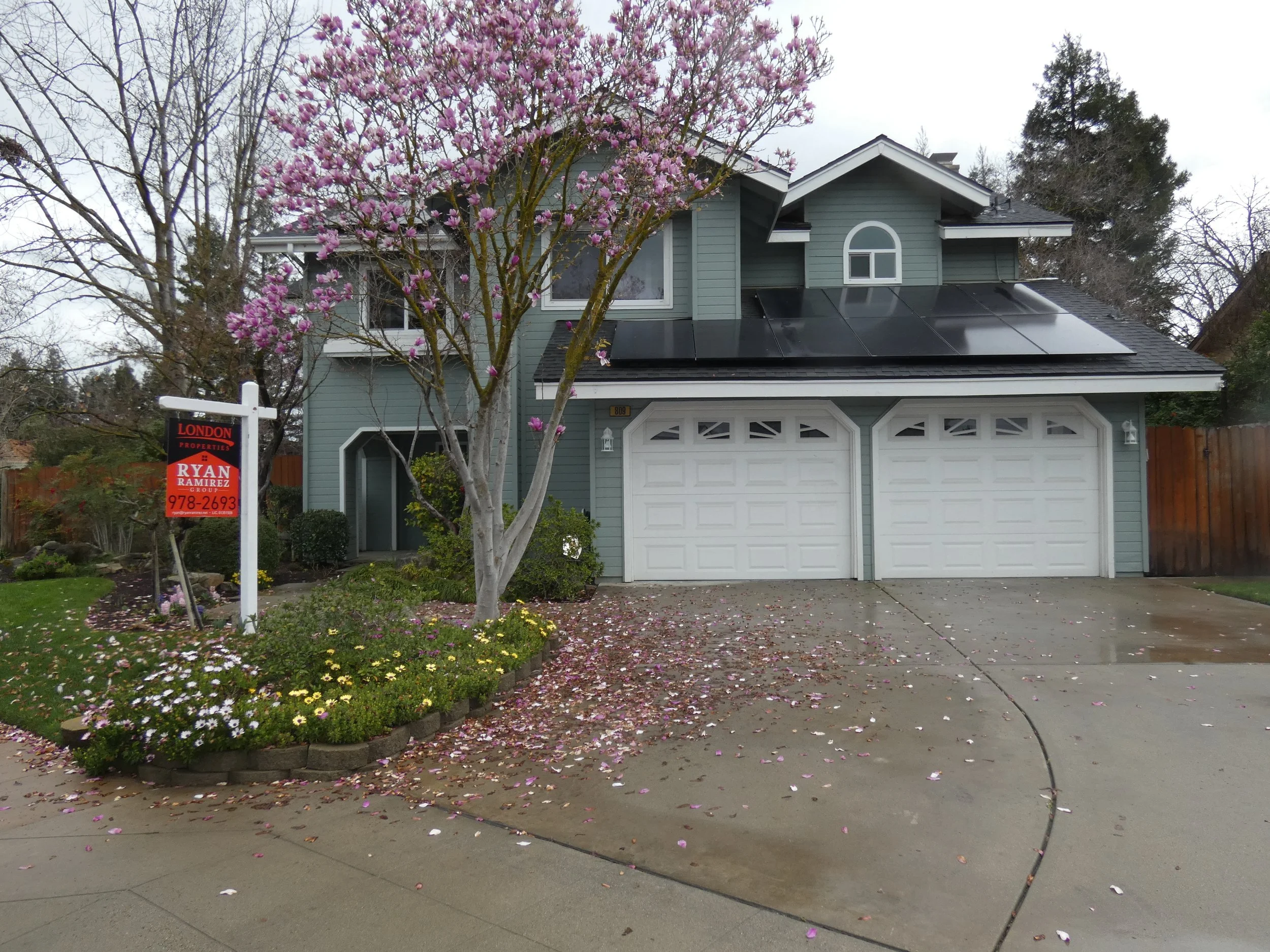 A house with gray siding and white trim, a garage door, and solar panels on the roof. In front, a tree with pink blossoms and a small garden bed with assorted flowers. A "For Sale" sign is visible near the sidewalk.