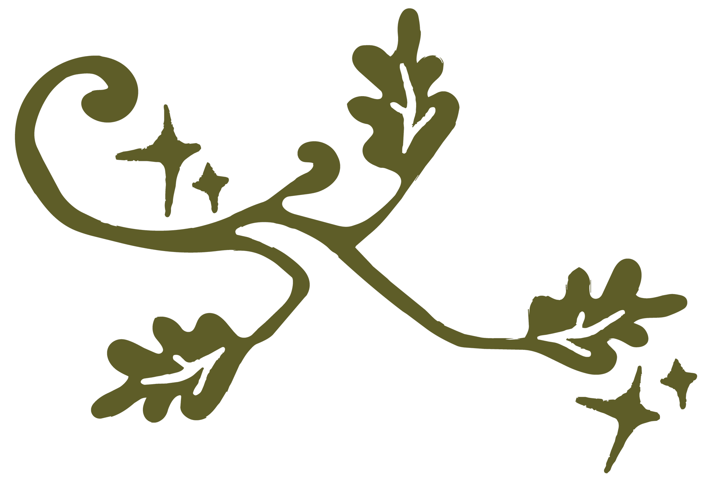A decorative illustration of oak leaves on a curling branch in olive green on a black background.
