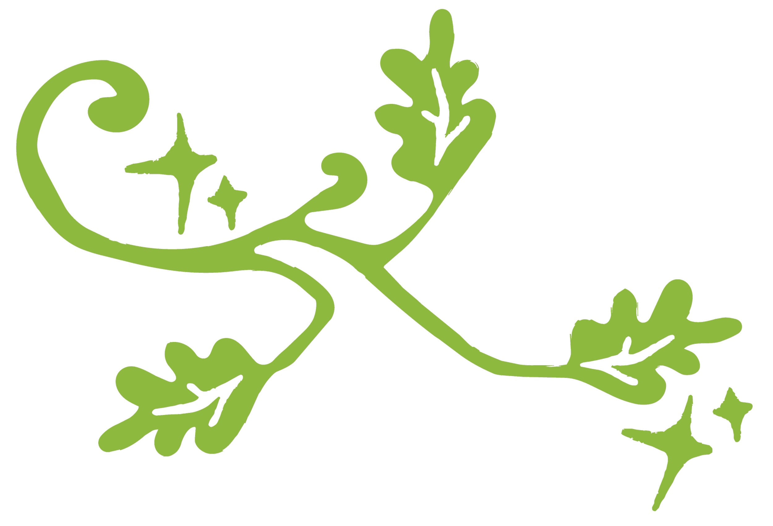 A decorative illustration of oak leaves on a curling branch in lime green on a black background.