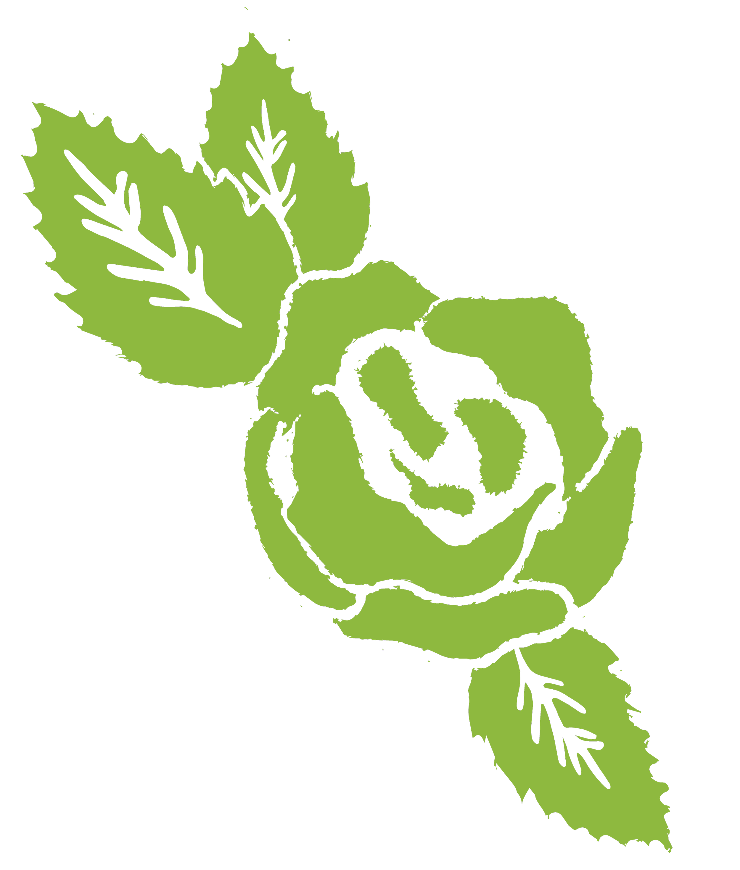 A silhouette of an olive green rose, set against a black background.