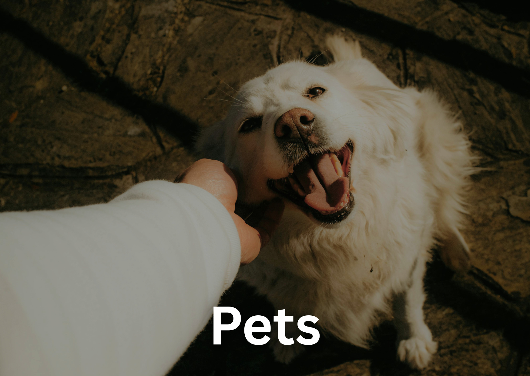Pets