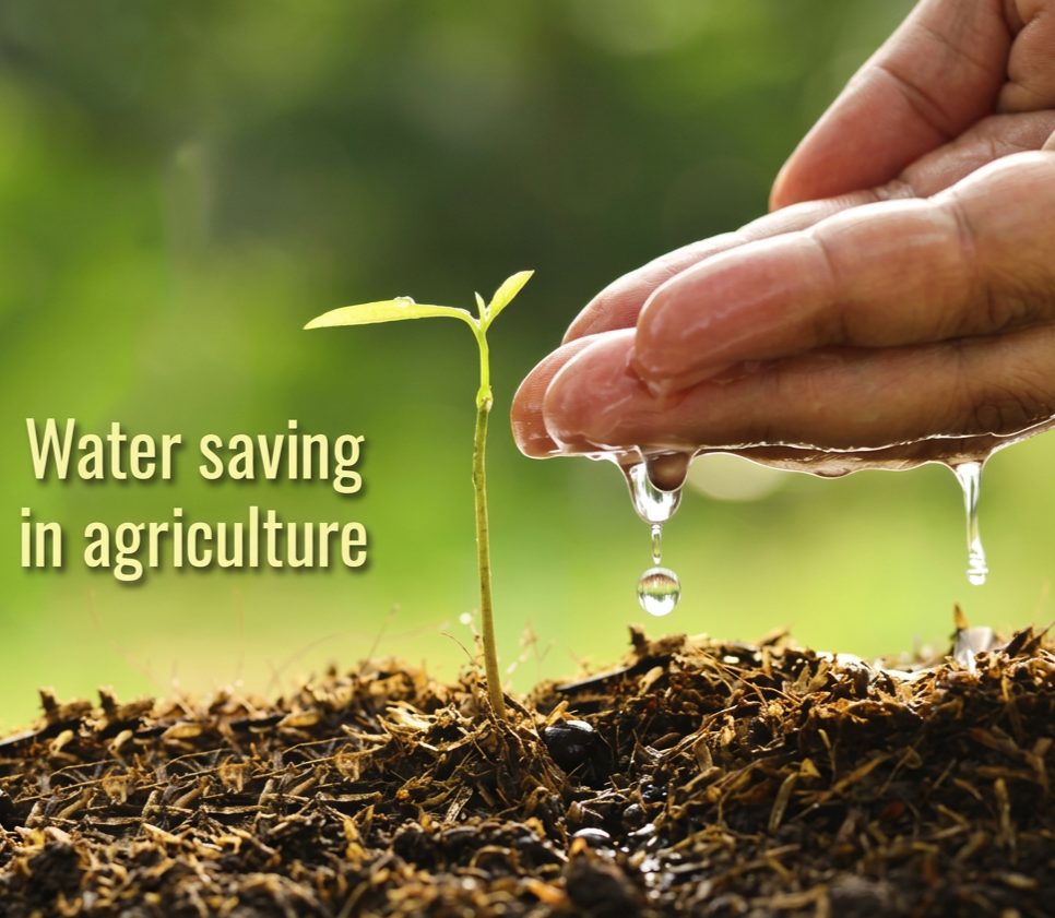 Close-up of a person's hand watering a young plant growing in soil, with text overlay reading 'Water saving in agriculture'.