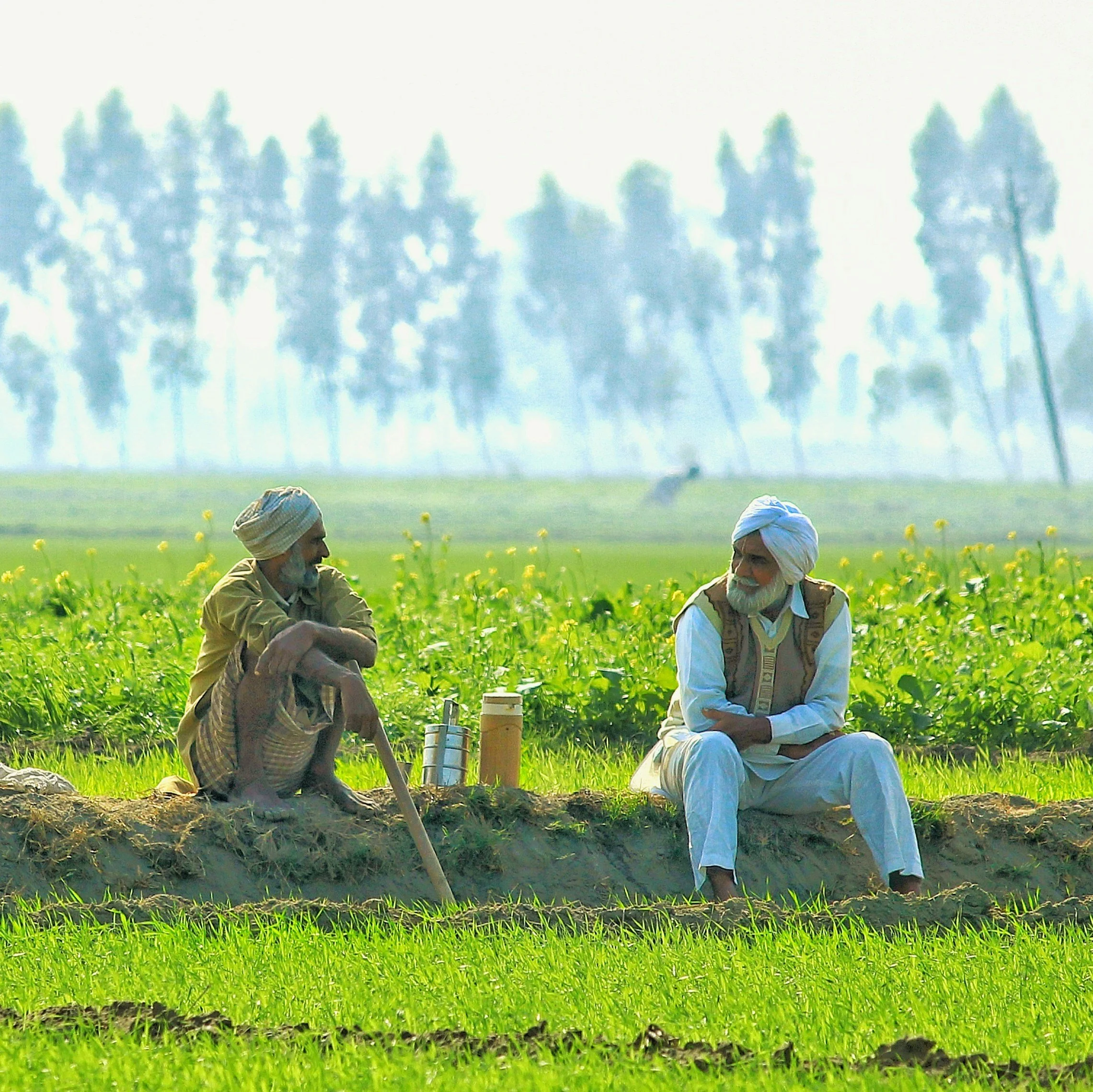 Two men wearing traditional head coverings are sitting in a lush green field with yellow flowers, having a conversation. The background features a tree-lined horizon and a hazy sky.
