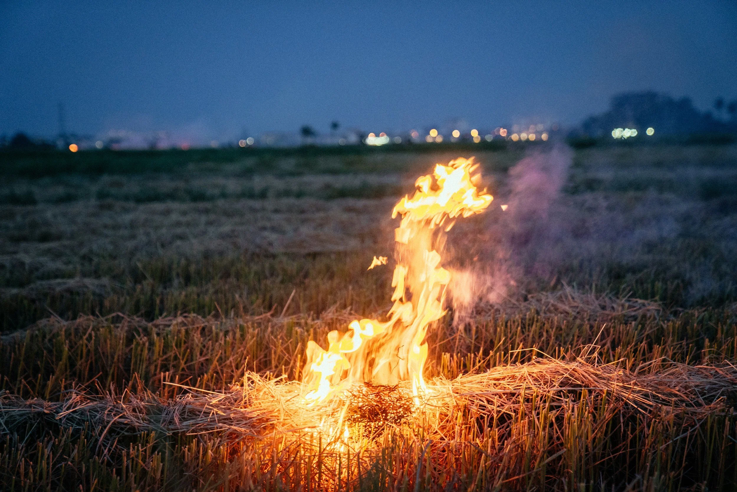 A small open fire burning in a field of dry grass at night with city lights and a dark sky in the background.