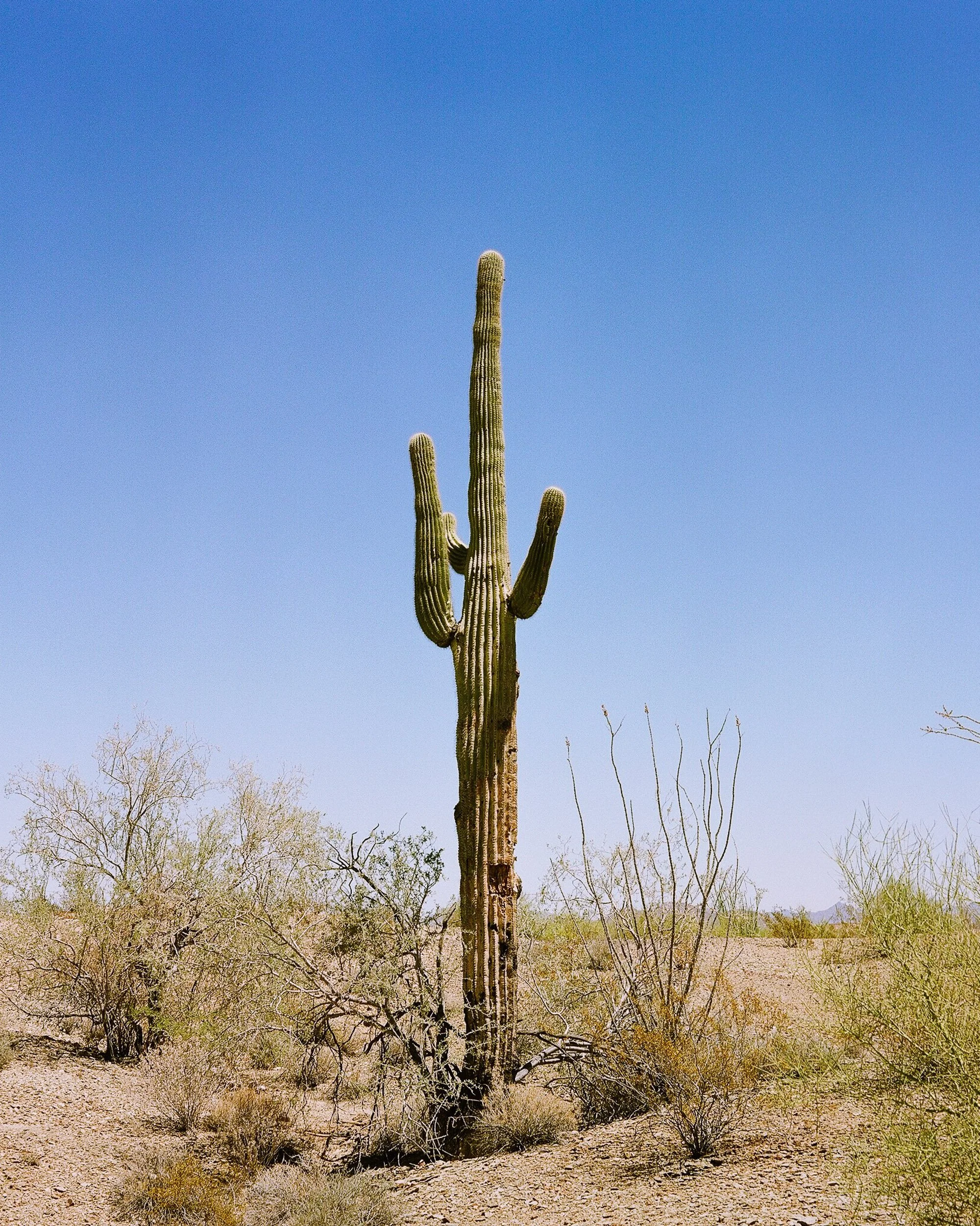 Portfolio-4x5-77.jpg