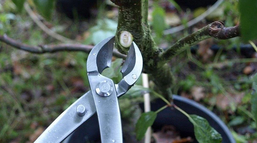 Concave Cutter