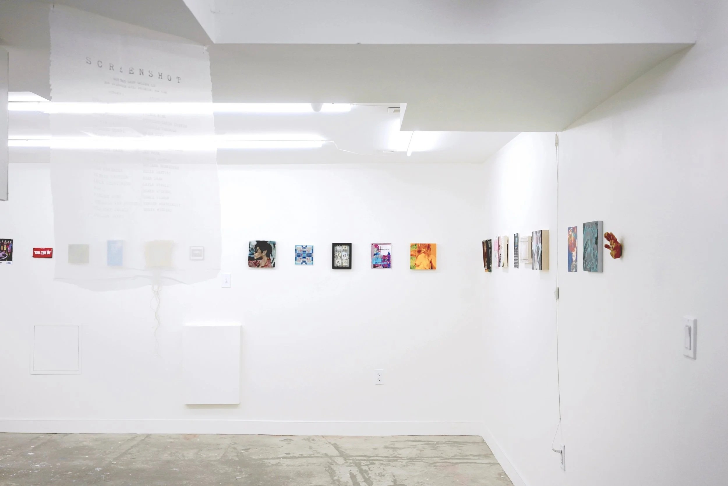 Installation view of Screenshot at Not That Deep Gallery 