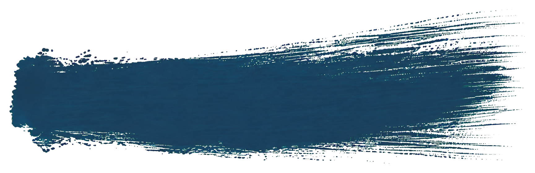A stylized, elongated, horizontal brush stoke for the RE-Storied Life Book