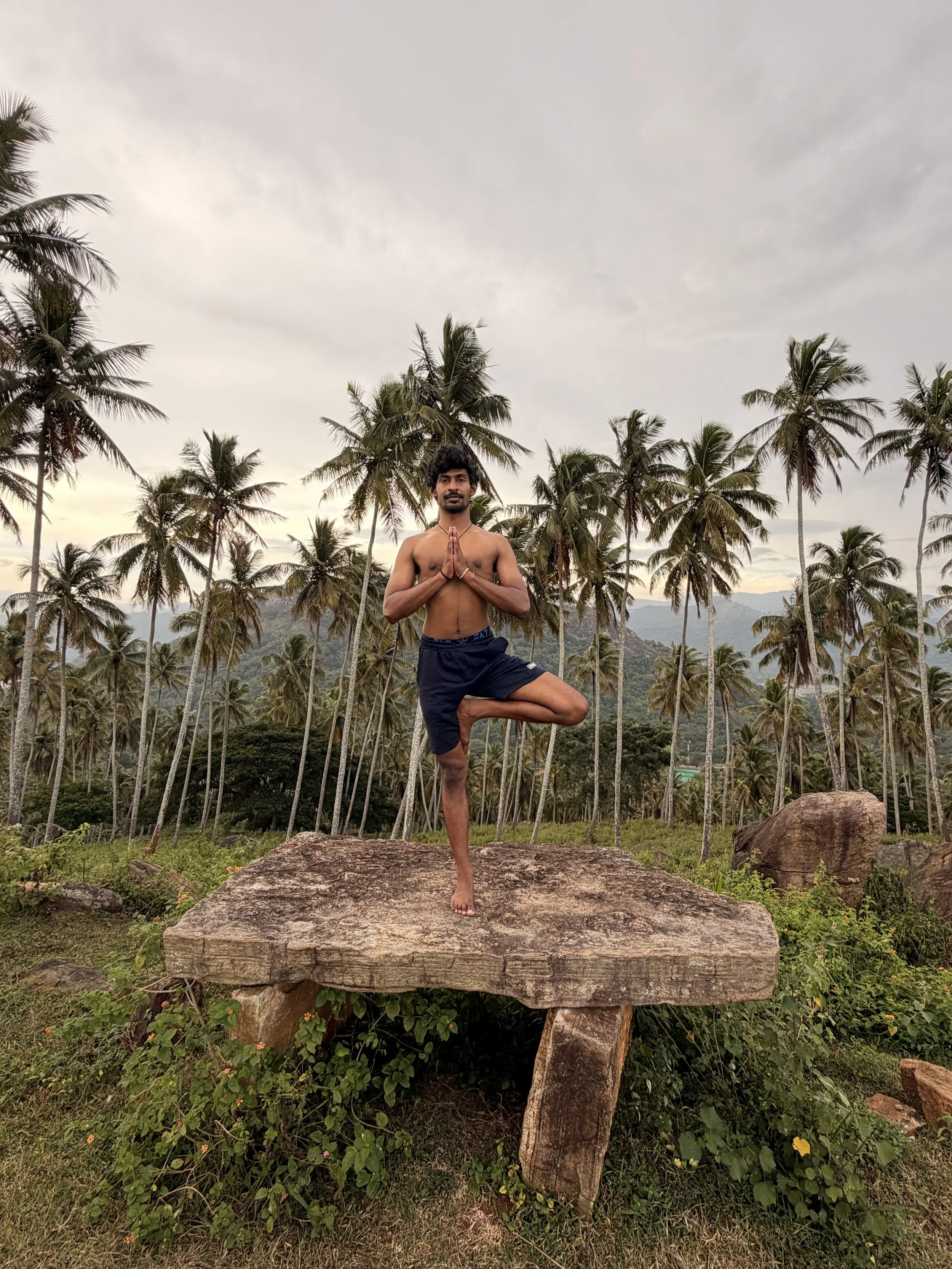 A man practicing yoga in a tree pose on a large flat rock surrounded by lush greenery and tall palm trees, with mountains in the background and cloudy sky overhead.