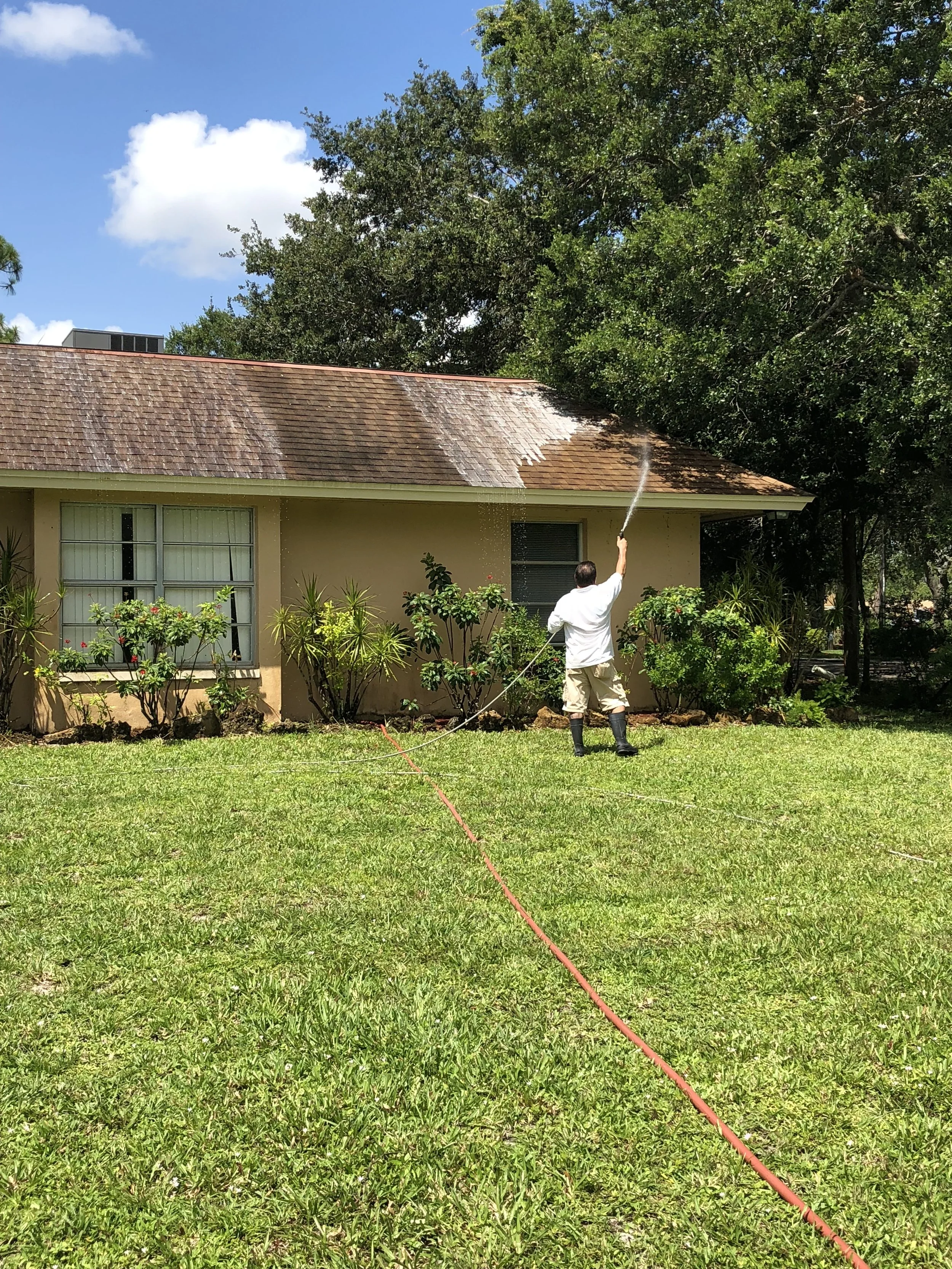 Man watering plants outside a house with a red-tiled roof and large windows, surrounded by greenery and trees on a sunny day.
