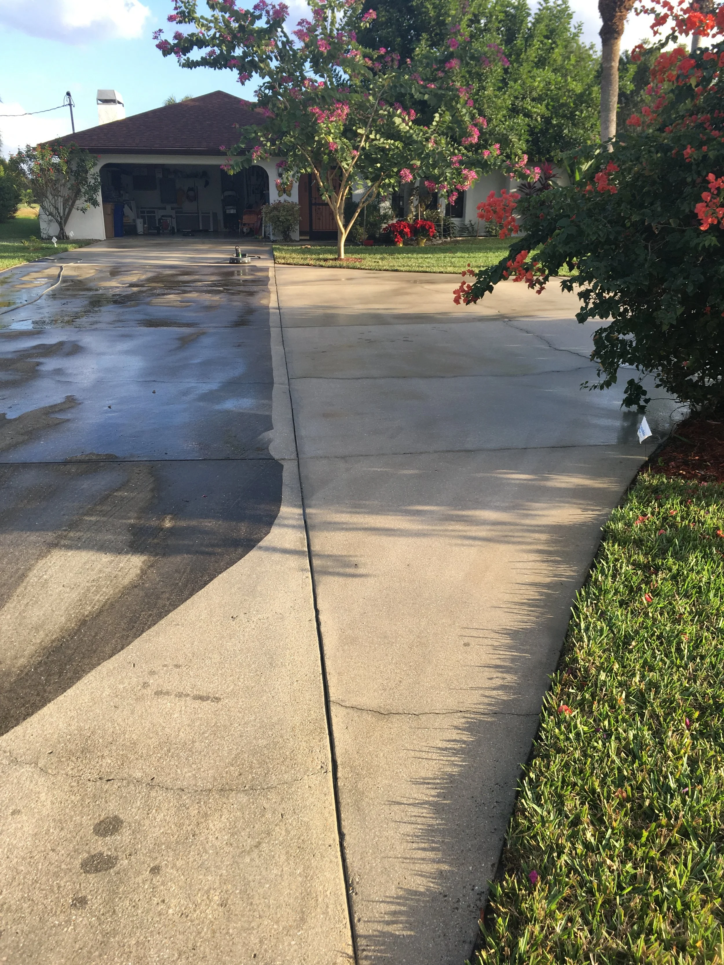 View of a residential driveway with a house in the background. The driveway is wet and has puddles, with soap or cleaning residue. The yard has green grass and colorful flowering bushes and trees. The sky is partly cloudy.