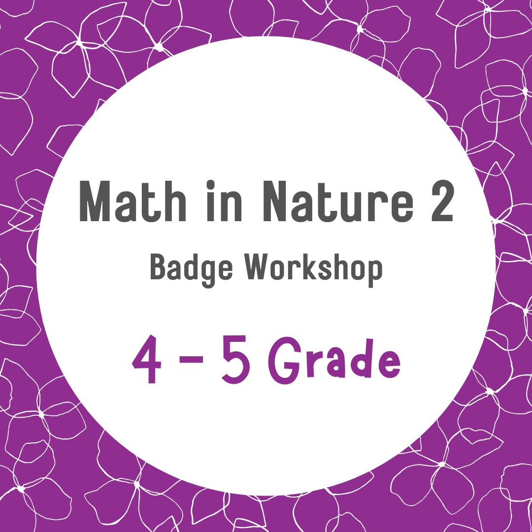 4-5 Math in Nature 2 - September