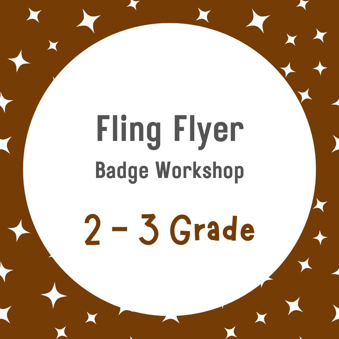 2 - 3 Mech Engineering: Fling Flyer - November