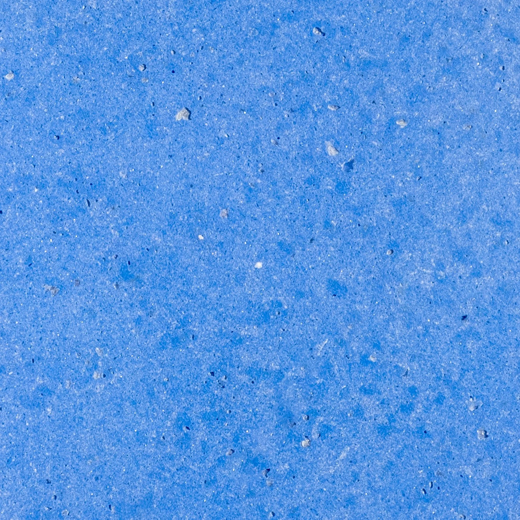 Lupine Blue