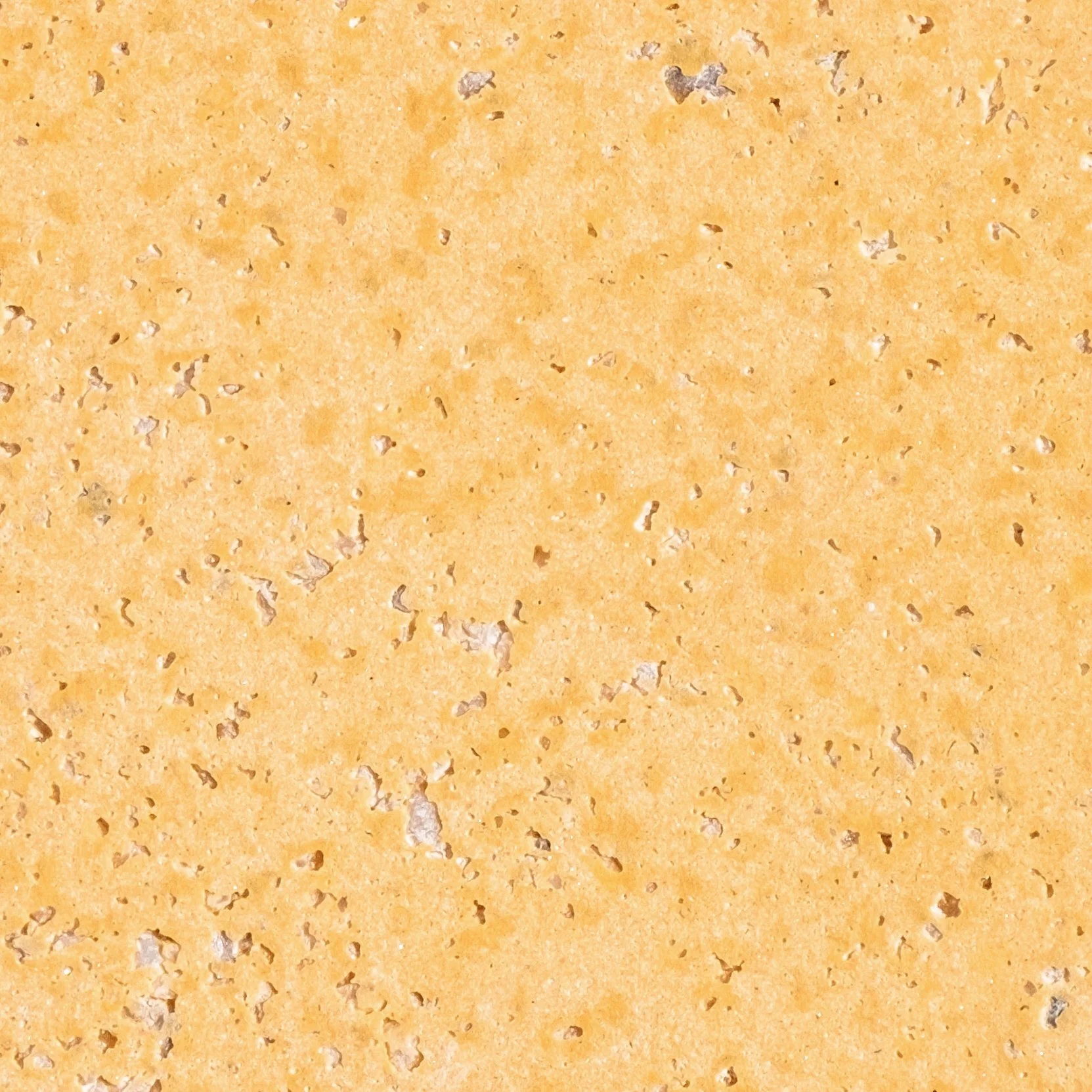 Sonoran Yellow
