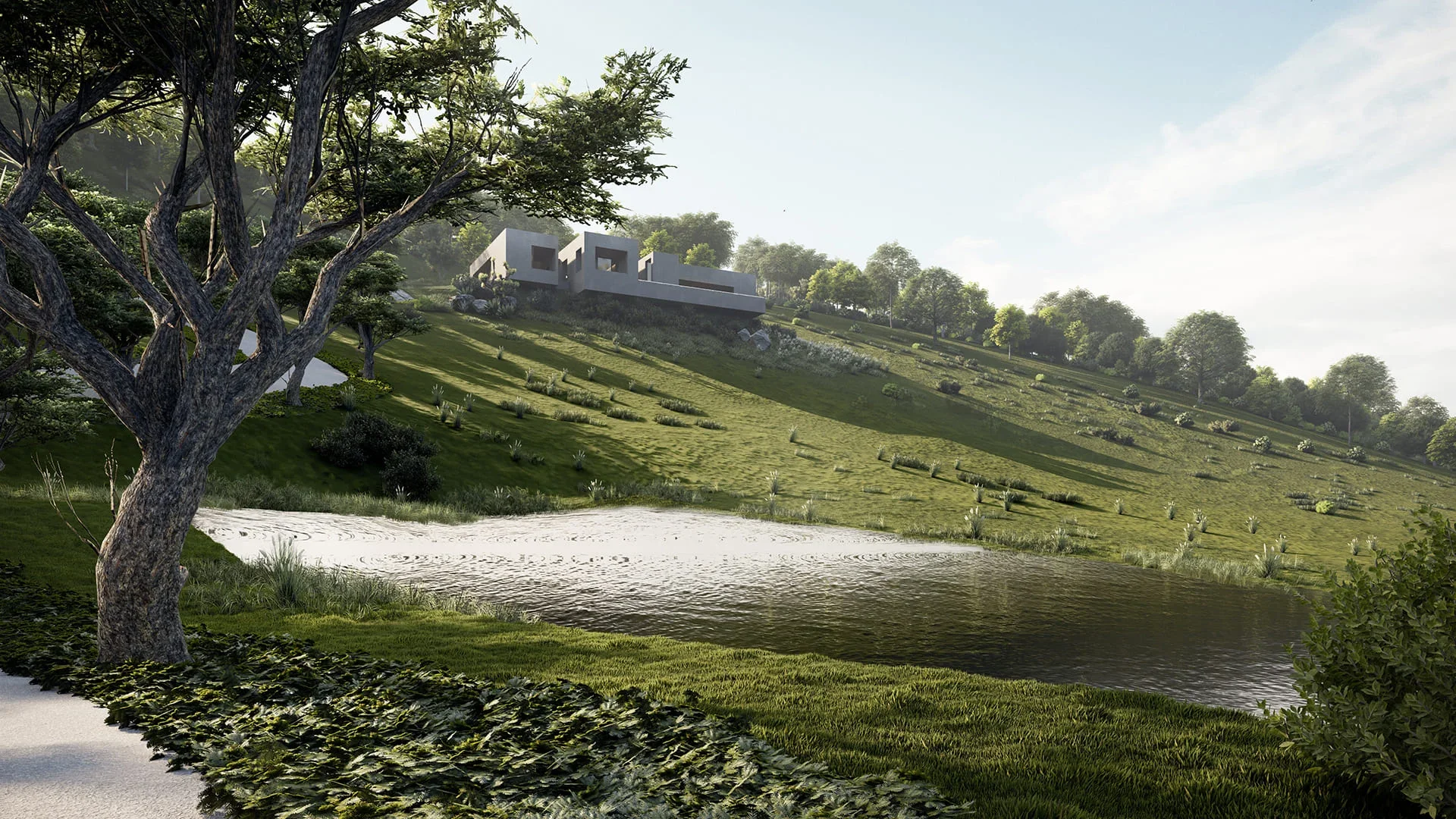 Haras Brisa Noturna (17).webp