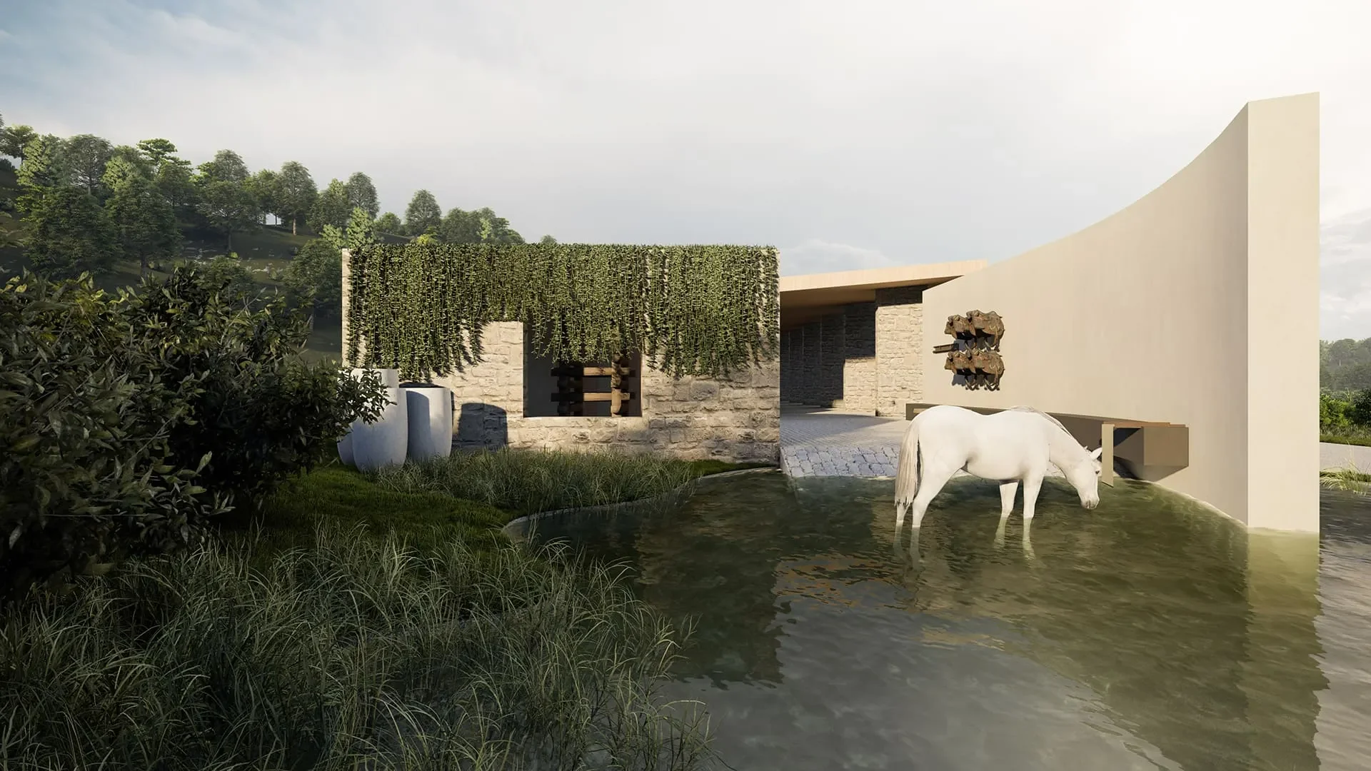 Haras Brisa Noturna (5).webp