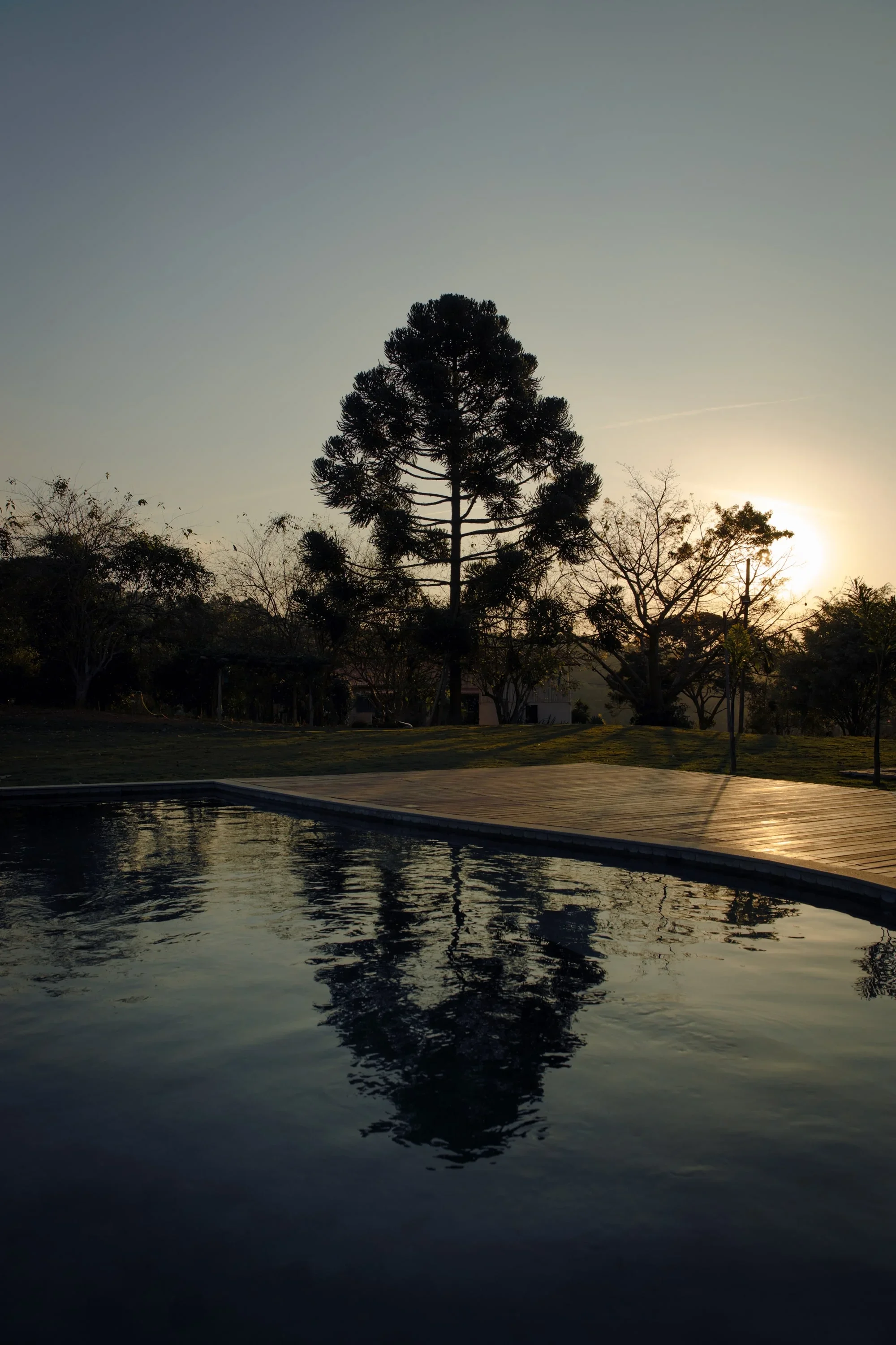 Fazenda Entre Rios (12).webp