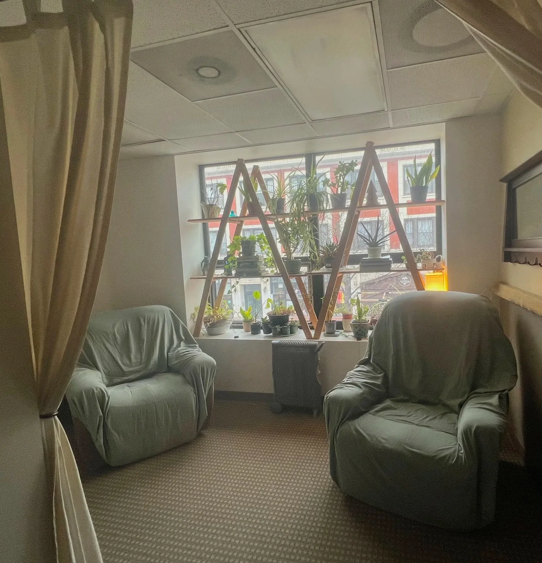 A cozy corner of Liberation Acu featuring natural daylight, 2 cushioned reclining armchairs fitted with light green sheets, a beige carpeted floor, and a large shelf in front of a window with over a dozen houseplants