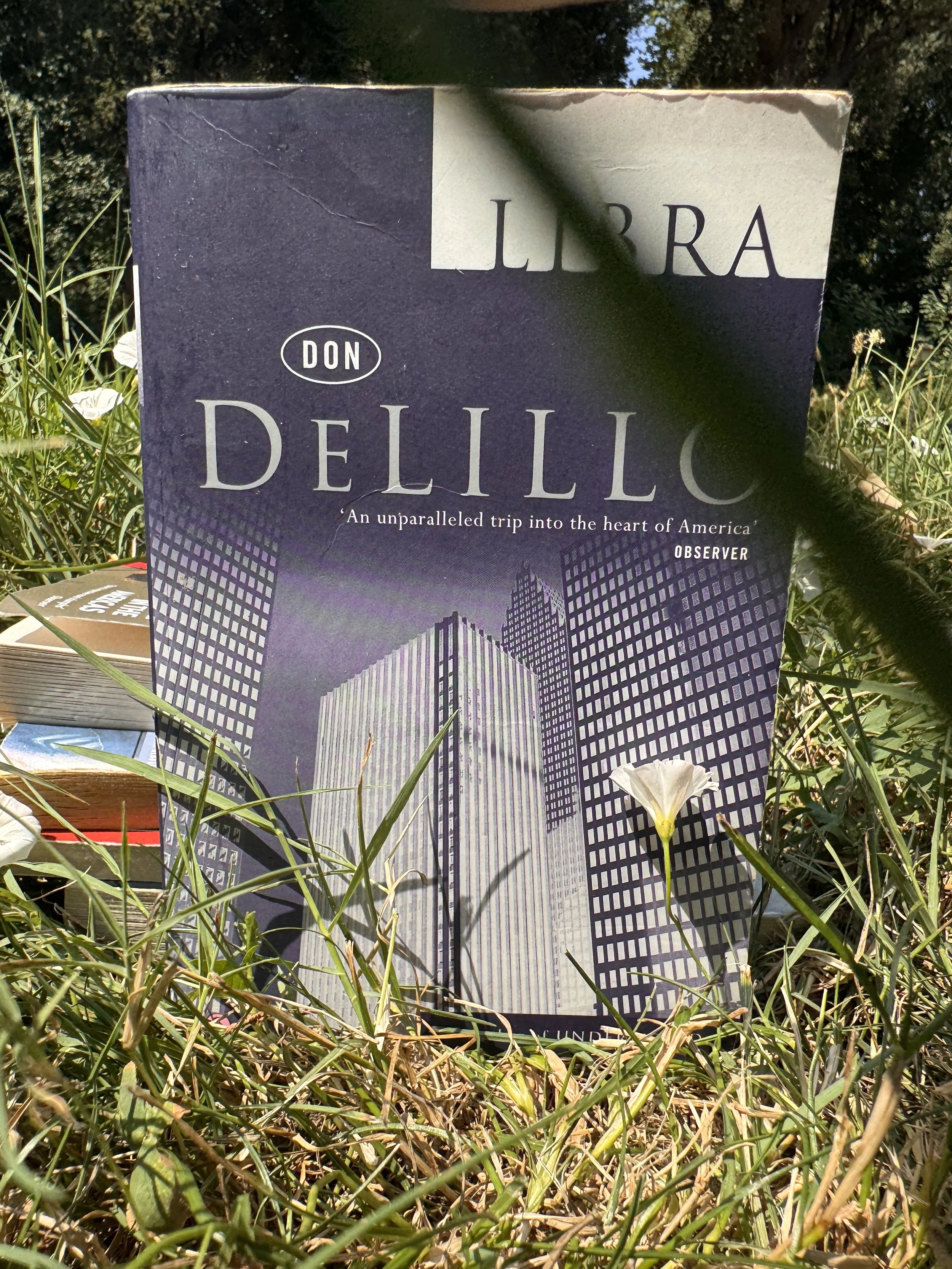 Picture of Libra by Don DeLillo among the grass in an open park