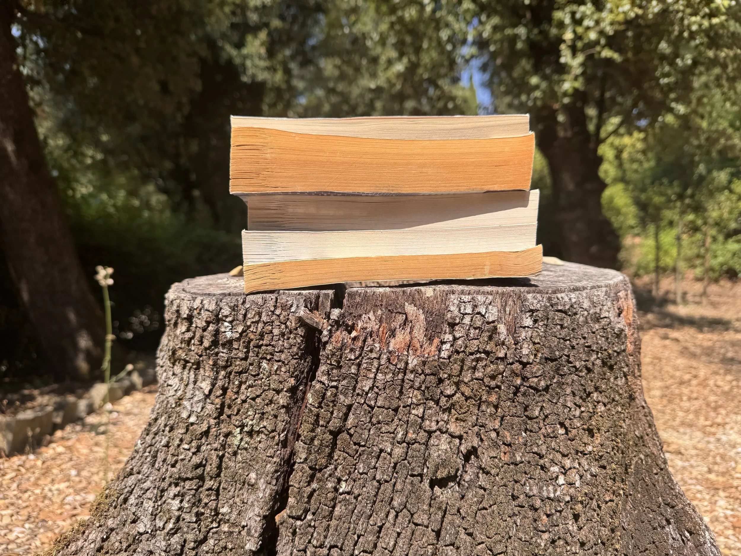Stack of four books placed on a tree stump outdoors with green trees in the background.