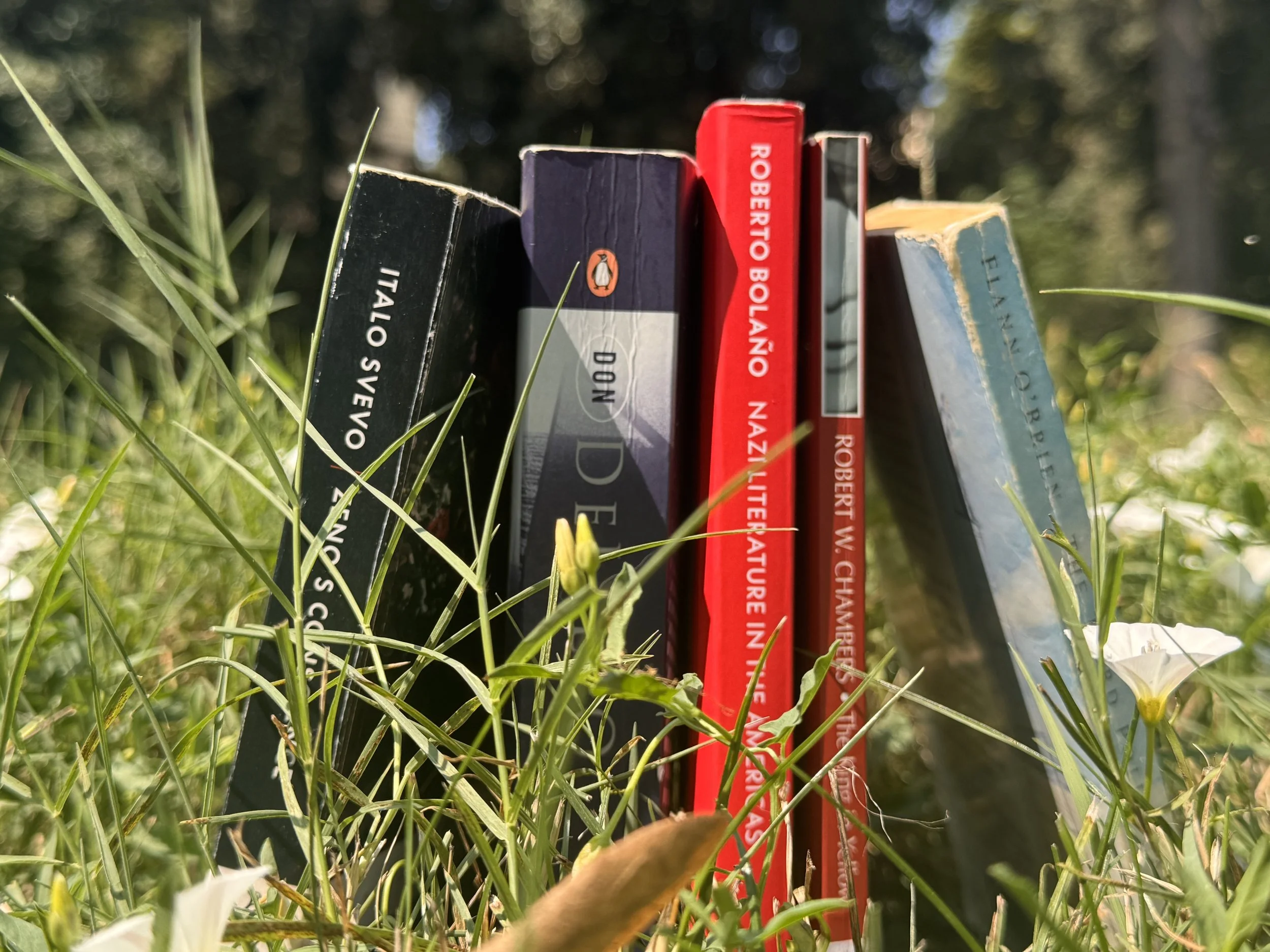 Stacked books on grass with greenery background, some titles visible including 'ITALO'S EVO' and 'ROBERTO BOLLANO NAZI', the photo is taken outdoors during daytime.