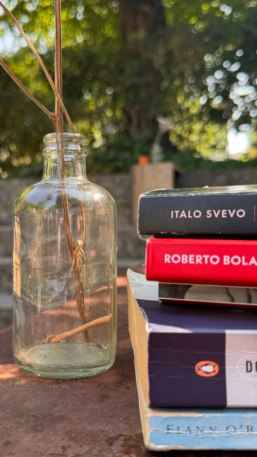 A clear glass bottle with a dried plant inside it, placed on a wooden surface outdoors. Next to it are three stacked books with visible titles: 'Italo Svevo', 'Roberto Bolaño', and a third book with partially visible title. The background shows a blurred natural scene with green bokeh from trees and sunlight.