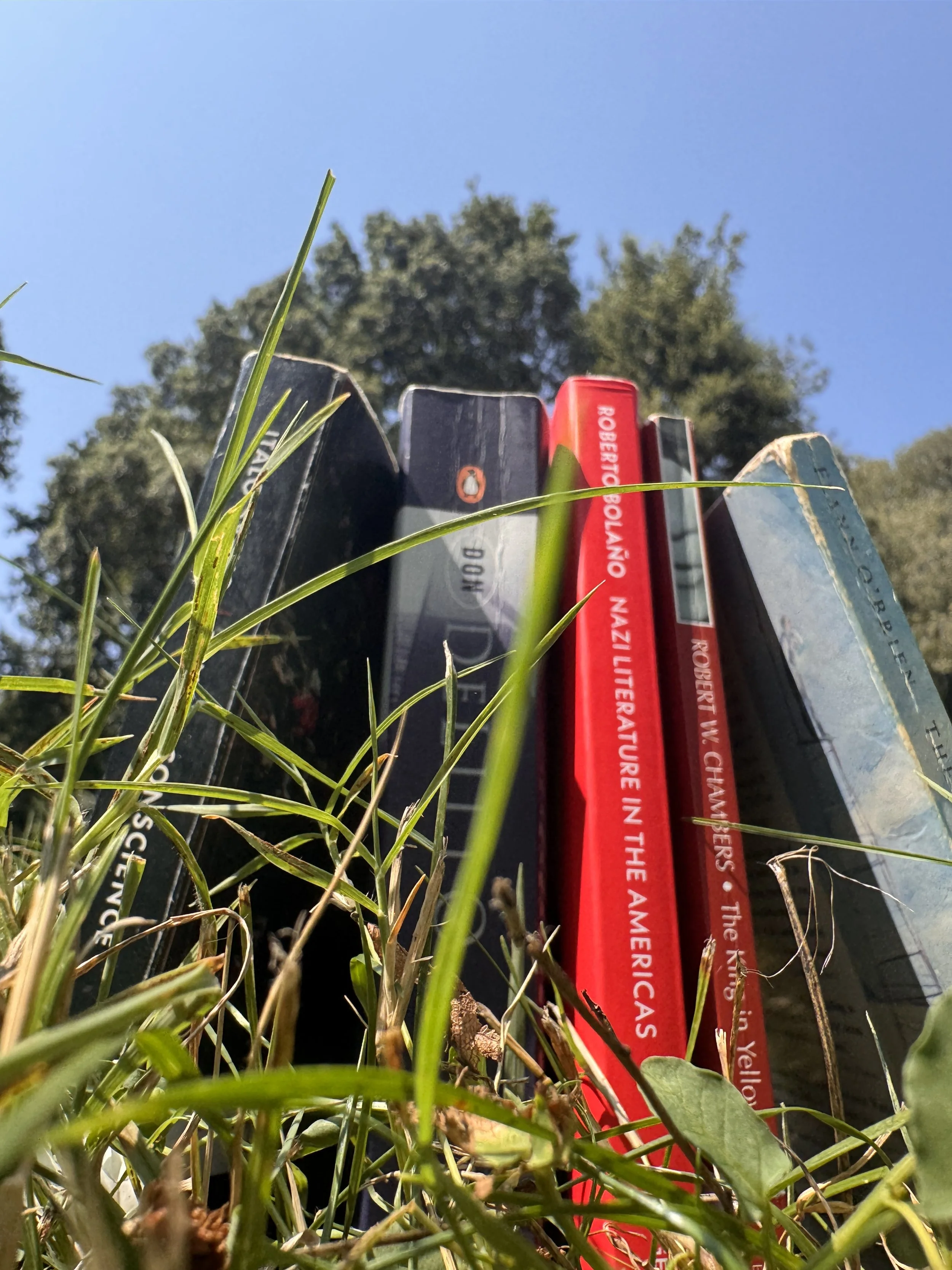 Close-up of books placed on the grass with trees and a blue sky in the background.