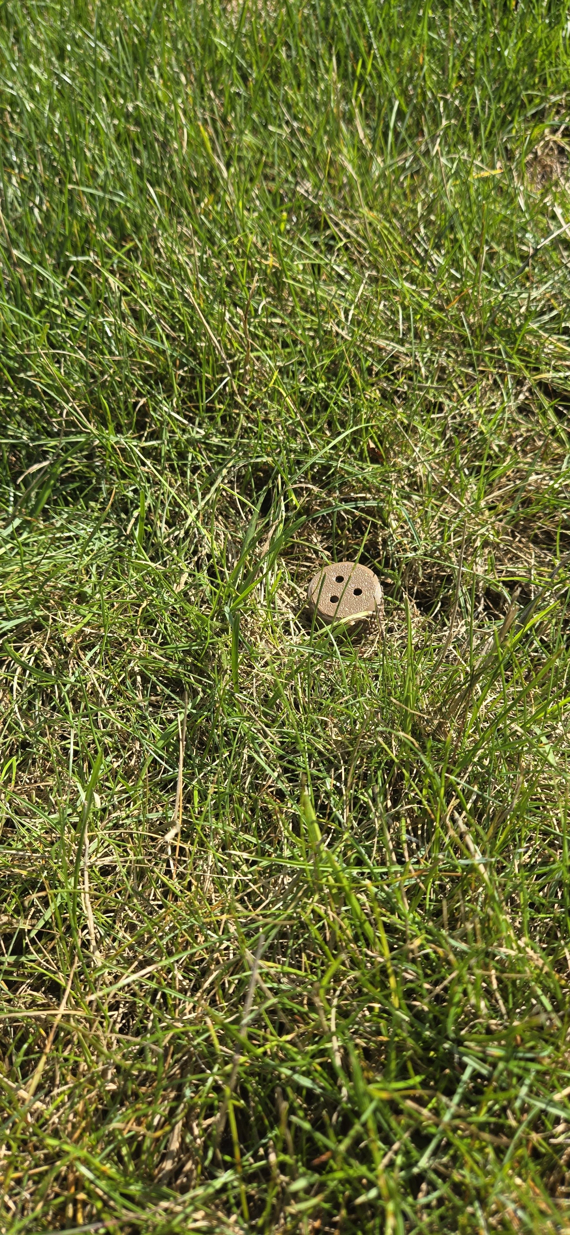 20260824_101301.jpg