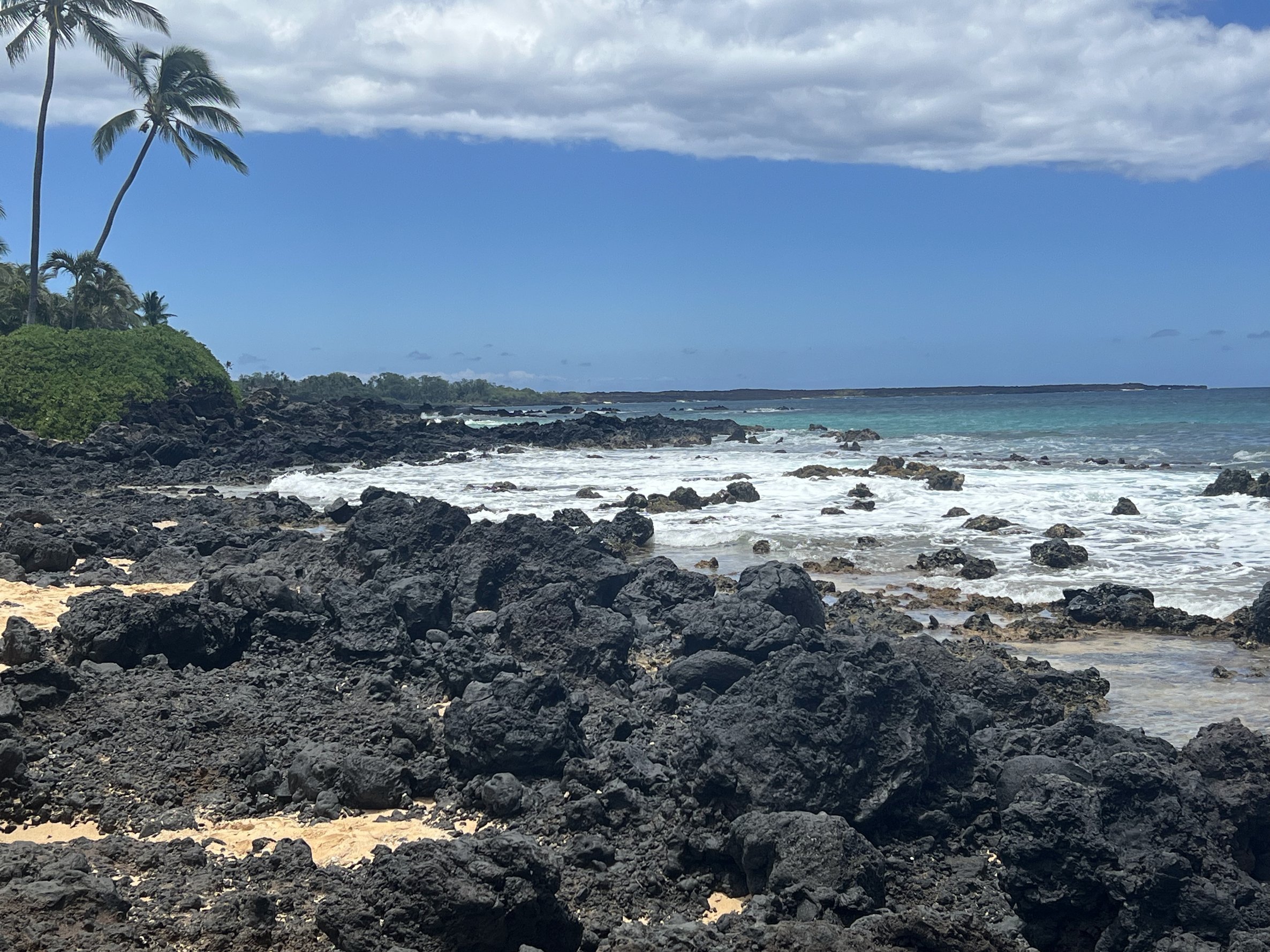 Tropical beach with black volcanic rocks, green shrubs, palm trees, ocean waves, and a cloudy sky.