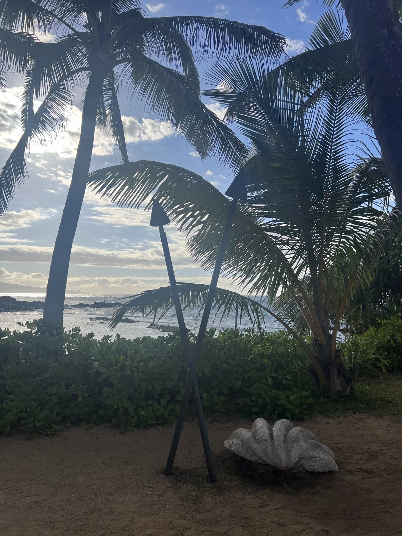 View of a tropical beach with palm trees, ocean waves, and partly cloudy sky during daytime.