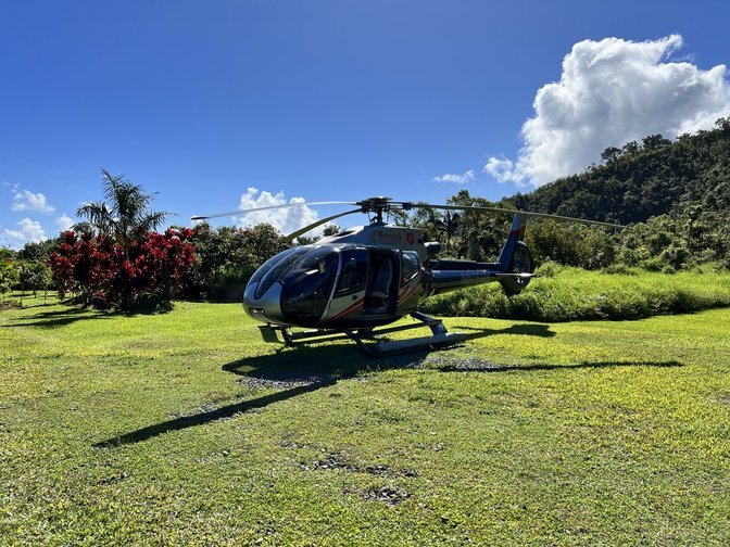 A black helicopter parked on a grassy field with trees and bushes, mountain, partly cloudy sky in the background.