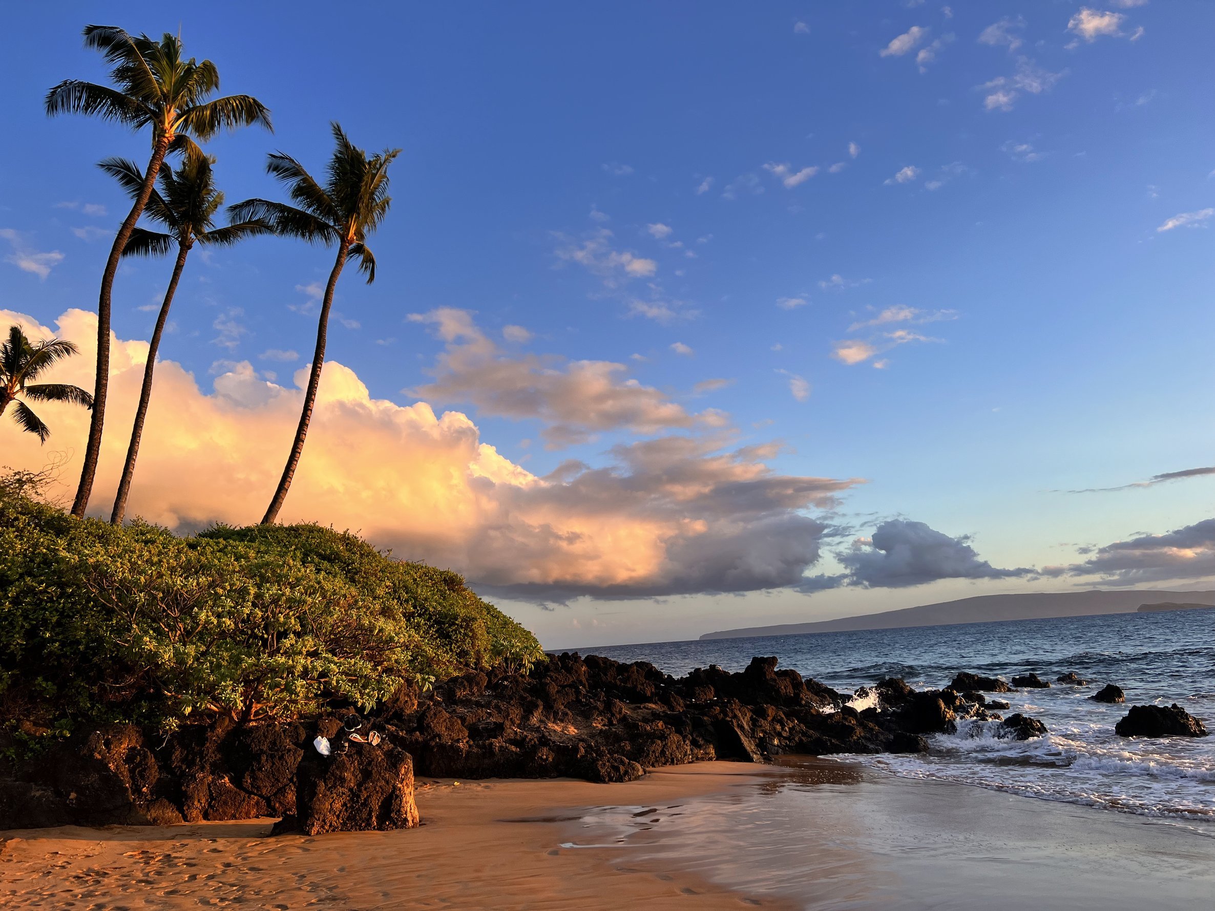 A tropical beach scene at sunset with three tall palm trees, rocky shoreline, calm ocean waves, and a colorful sky with clouds.