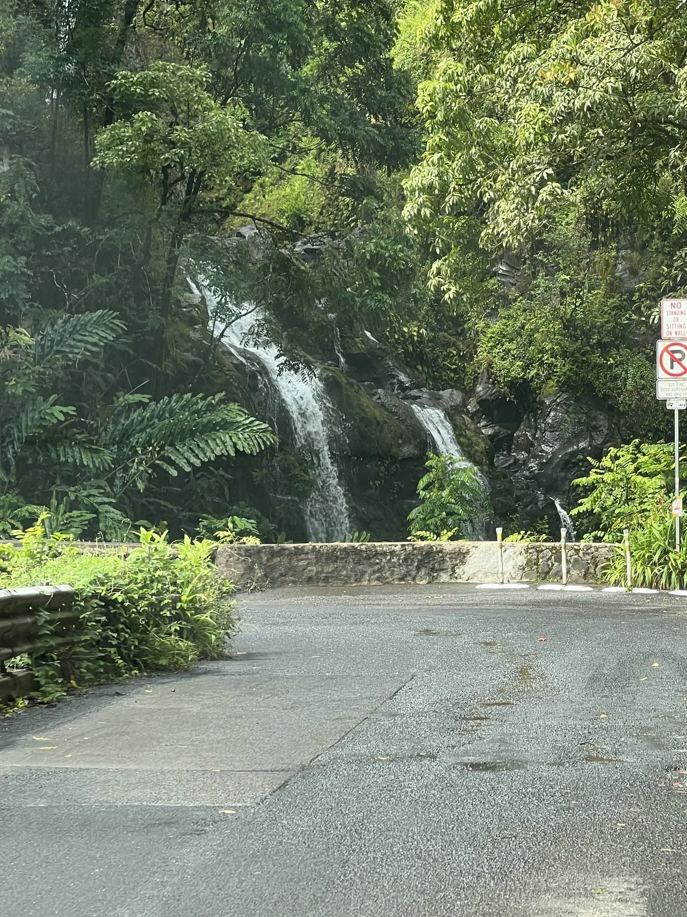 A small waterfall flowing over rocks into a lush green forested area, adjacent to a paved road with traffic signs.