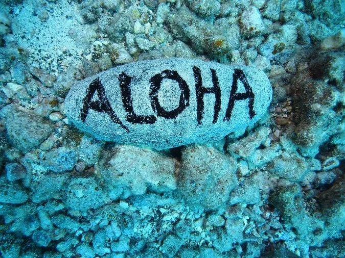 A painted rock with the word 'ALOHA' written in black, resting on a rocky underwater surface.