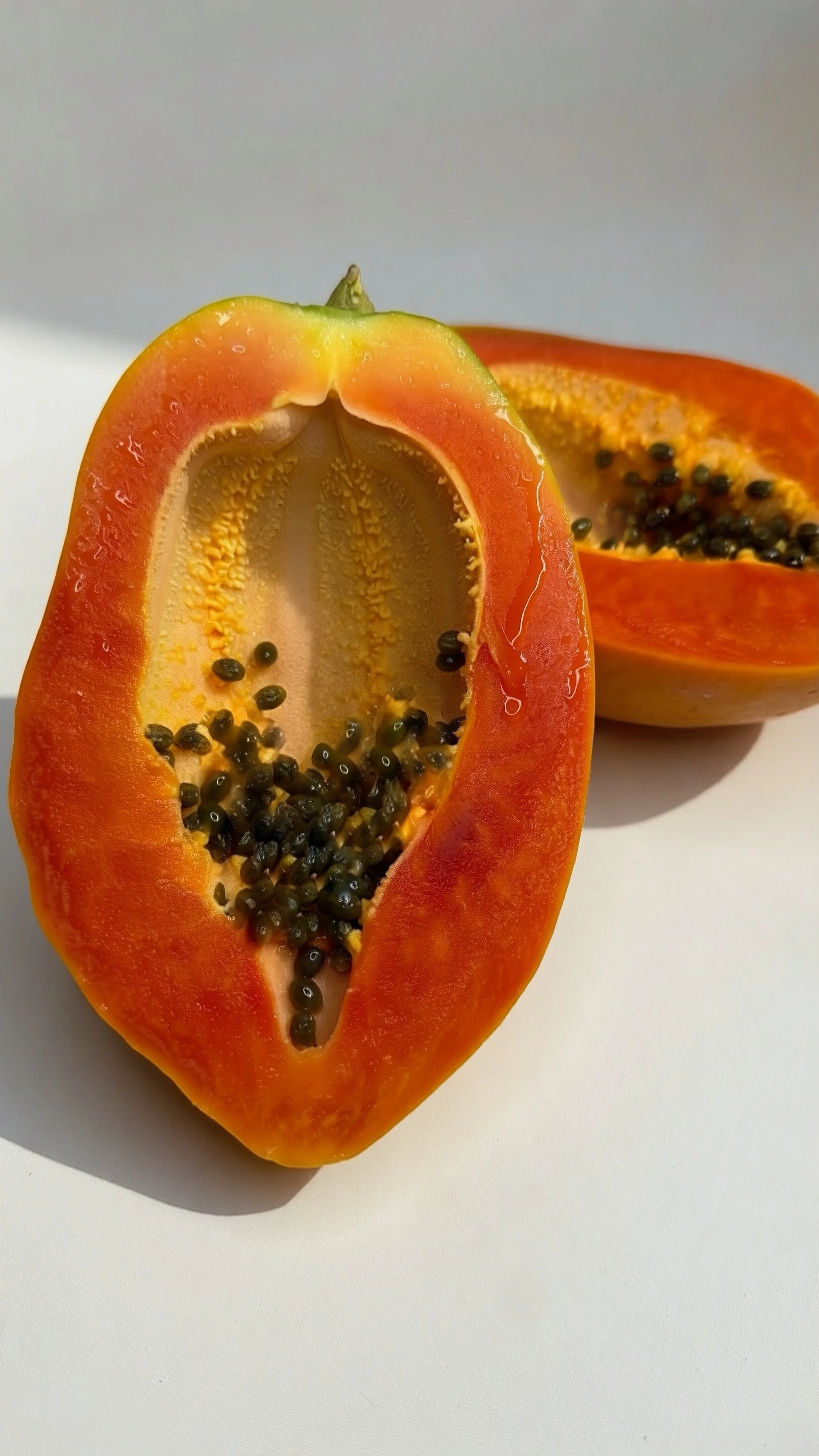 Red Lady Papaya