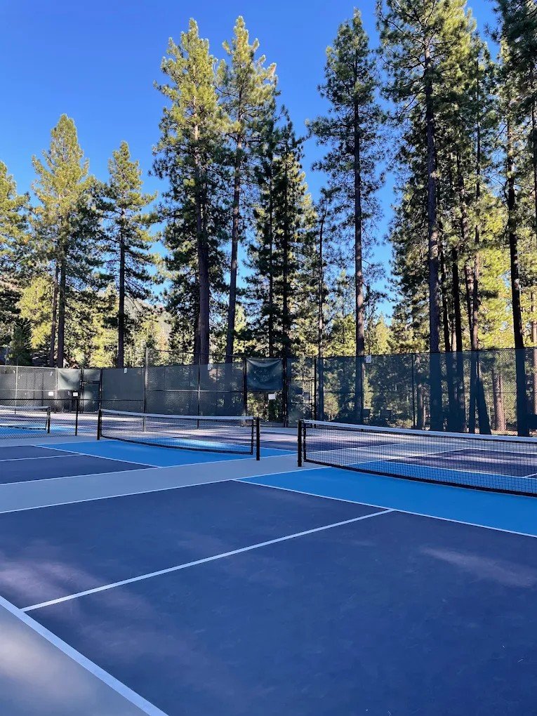 Incline Village pickleball courts surrounded by tall pine trees under a clear blue sky.