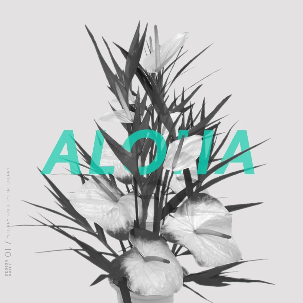 Aloha+01-1.webp