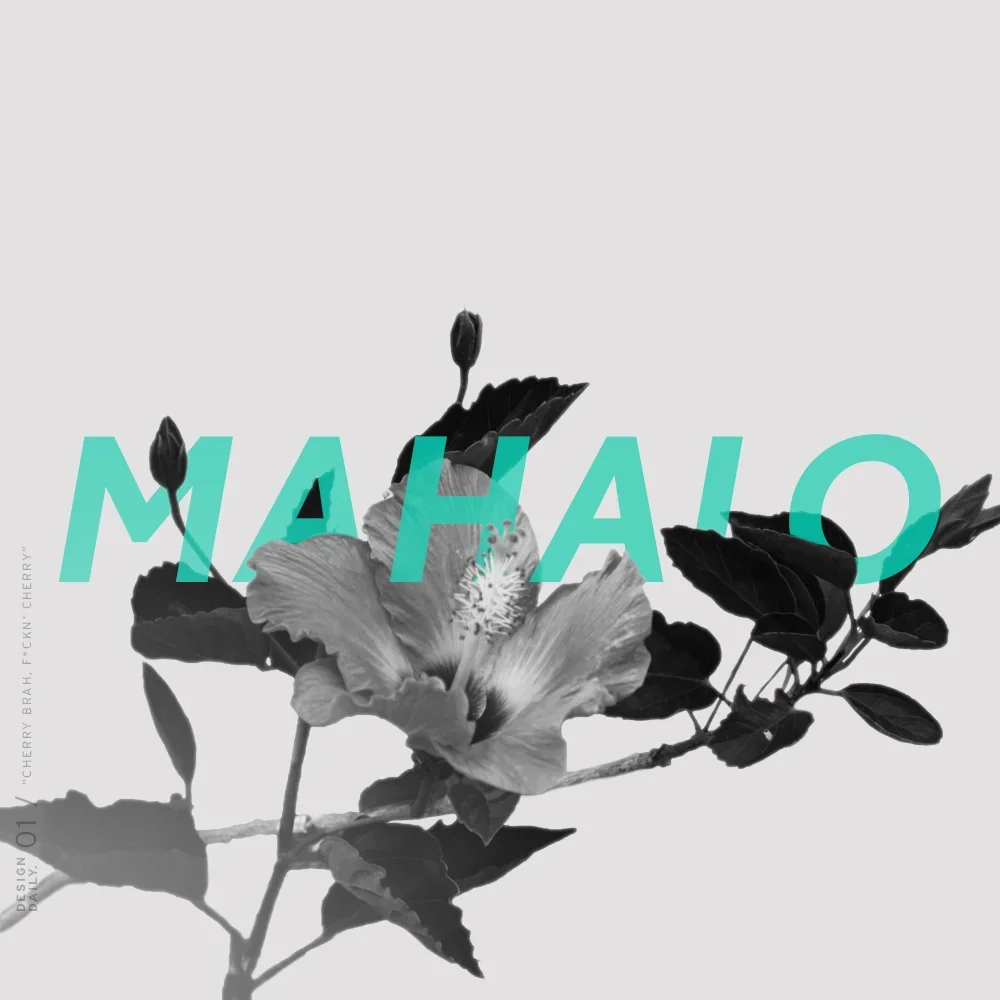 Aloha+02.webp