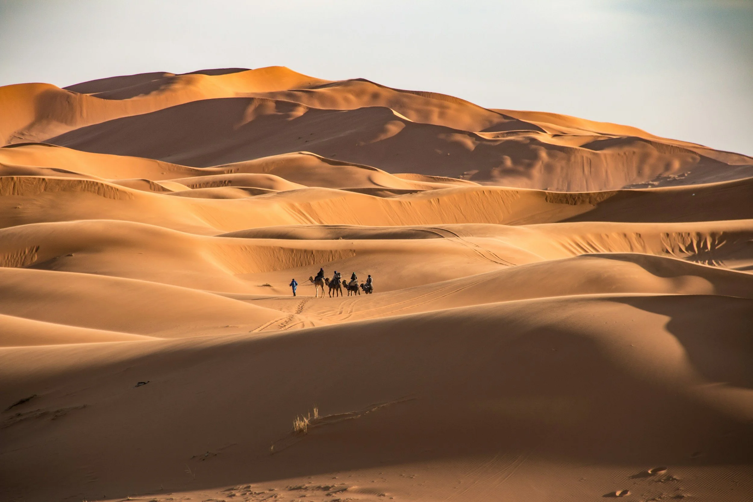 Sunset over the Erg Chebbi dunes near Merzouga Morocco