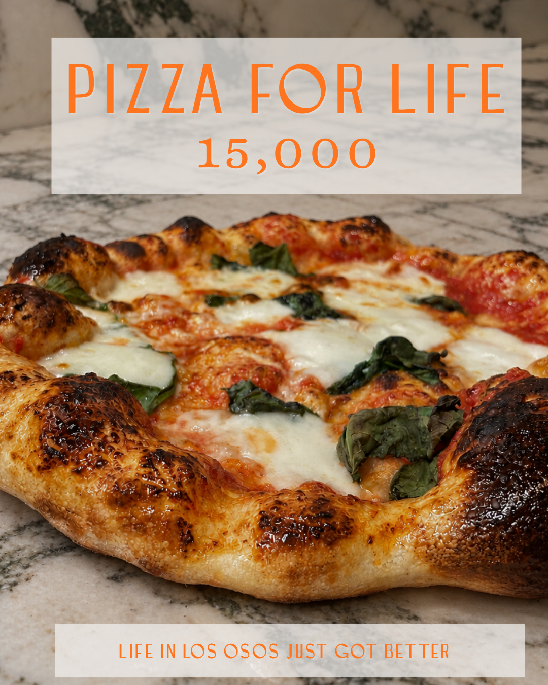 Pizza For Life!