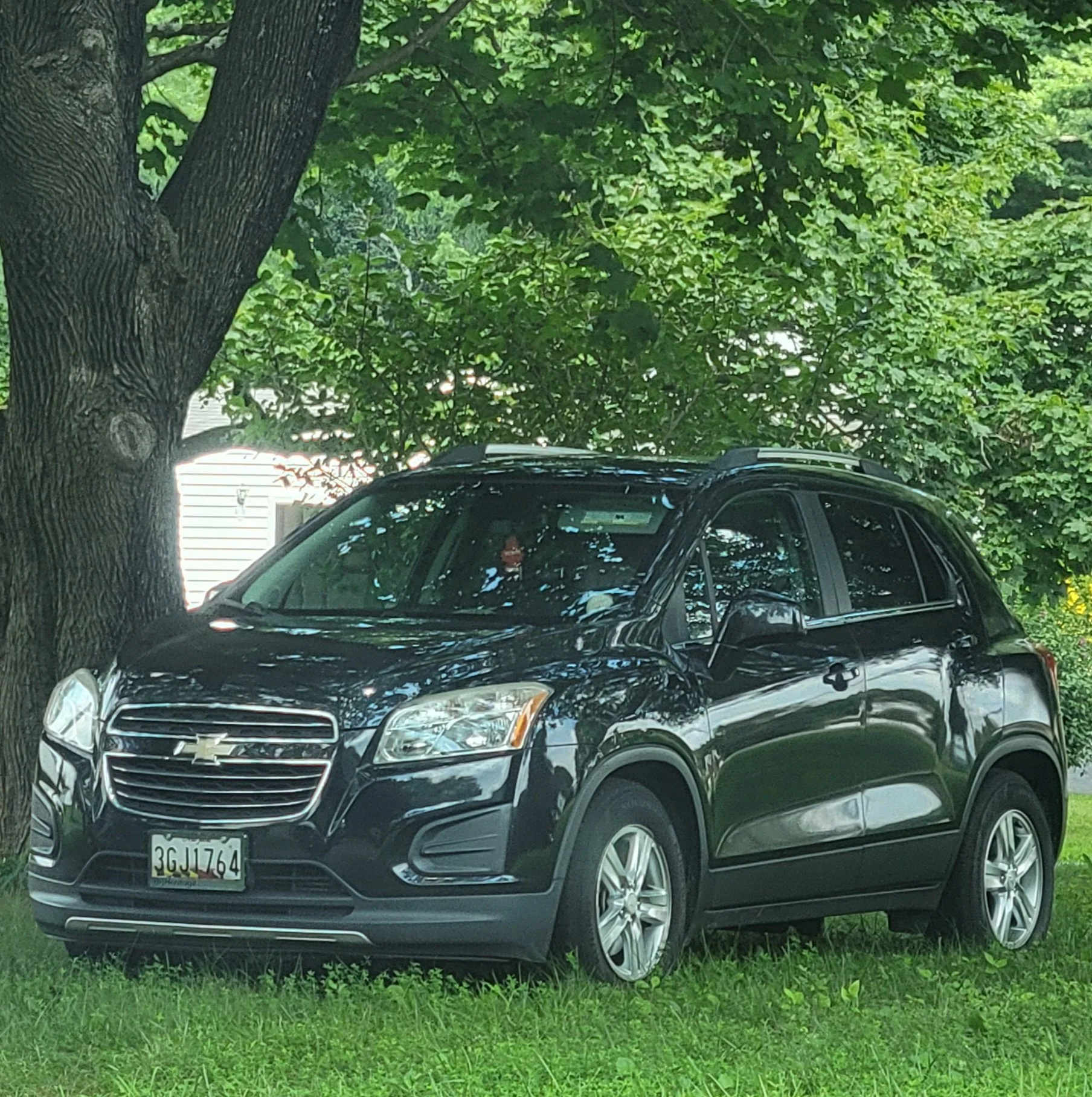 A black Chevrolet SUV with a California license plate parked on a grassy area beneath a large leafy tree. Part of a house is visible in the background.