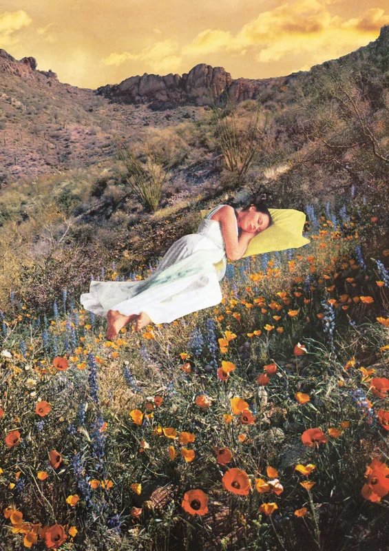 Wildflowers
