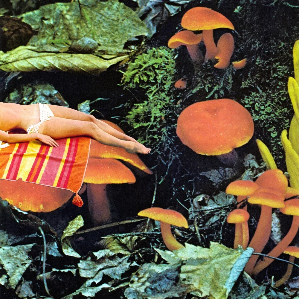 Mushrooms