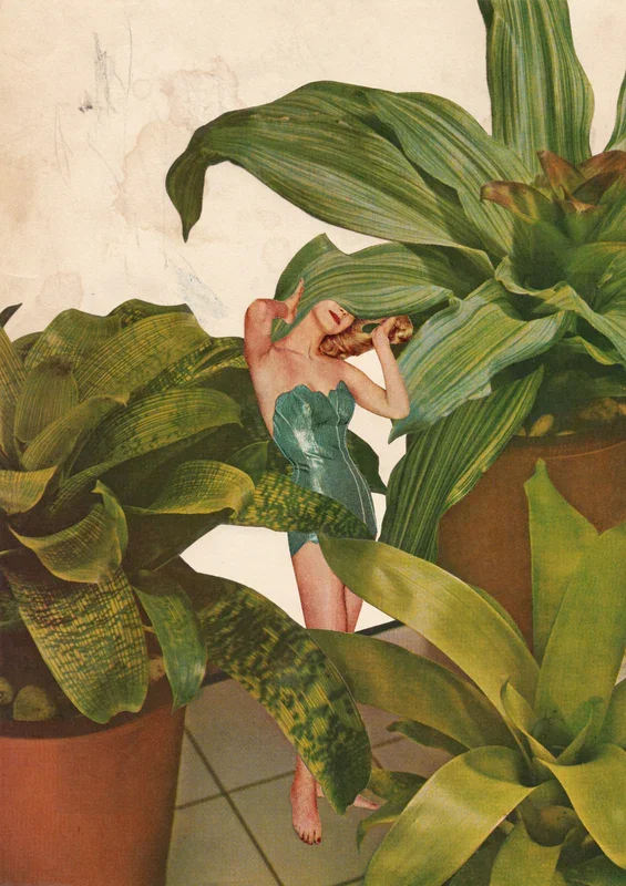 Foliage