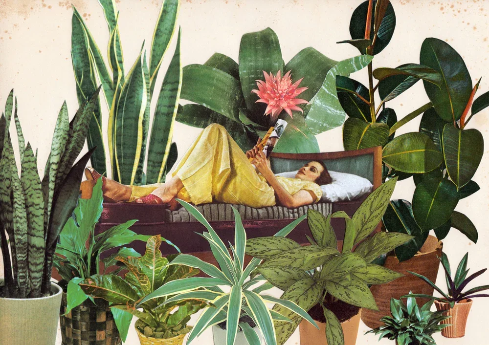  Terrarium