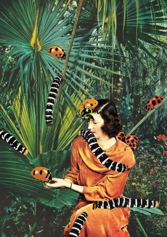 Native Species