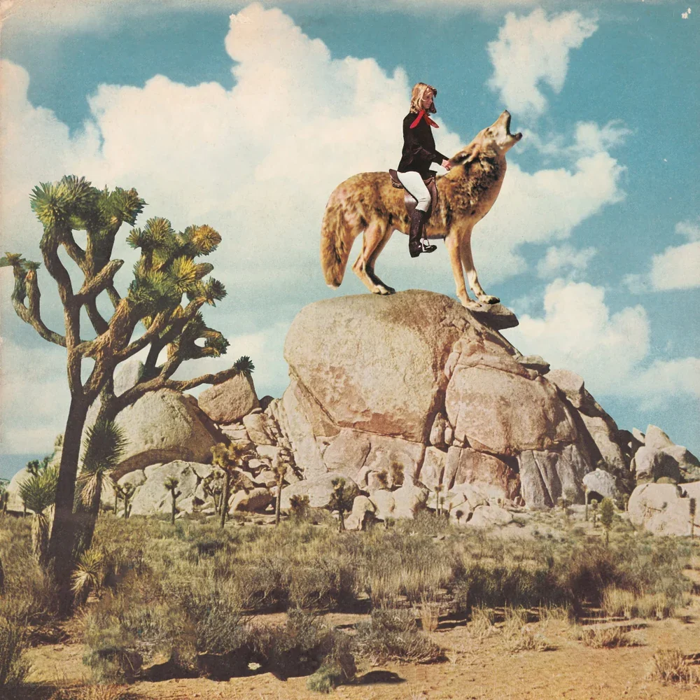 Coyote
