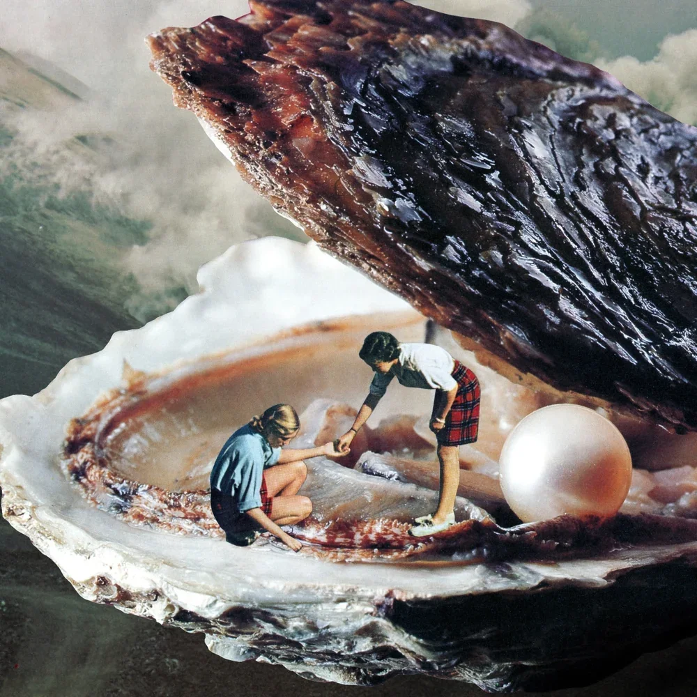 Shellter