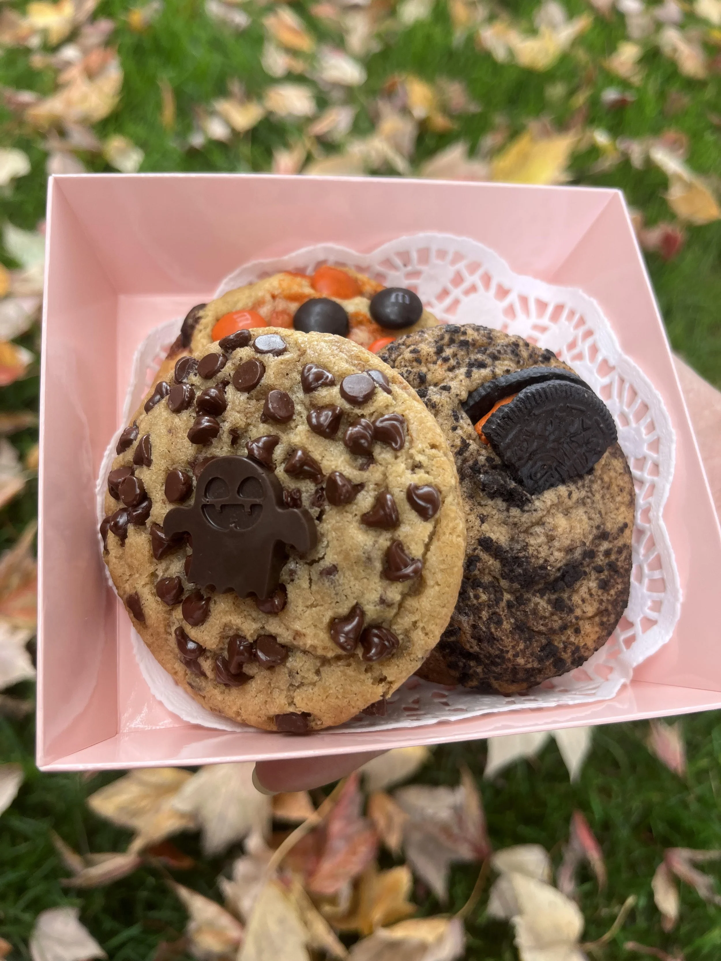 Mini Cookie Flight - The Fledge Pre-order